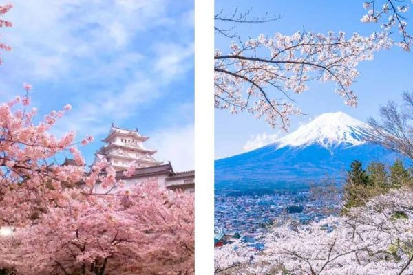 Du Lịch Châu Á Mùa Xuân: 10 Điểm Đến Kỳ Diệu "Đánh Cắp Trái Tim" Bạn