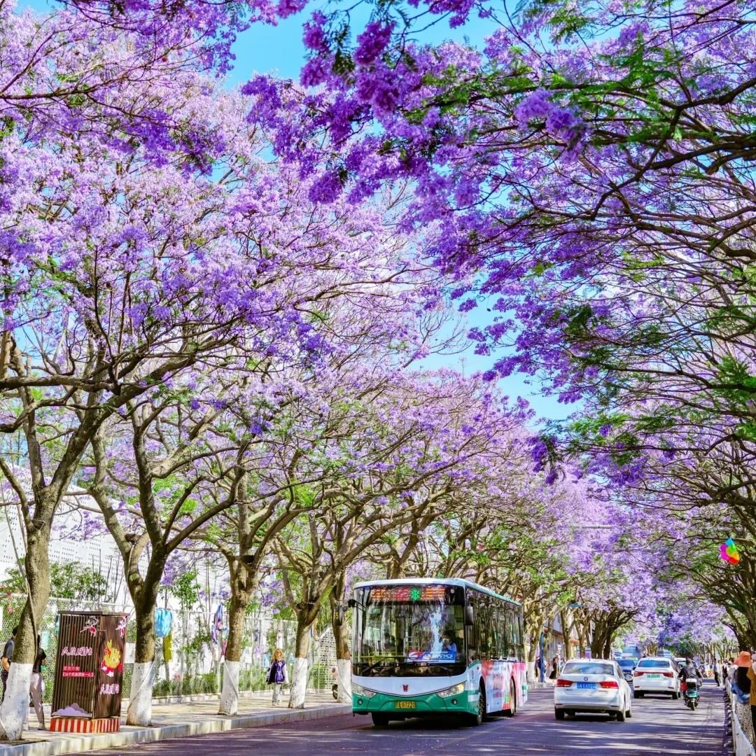 Đường phố Côn Minh