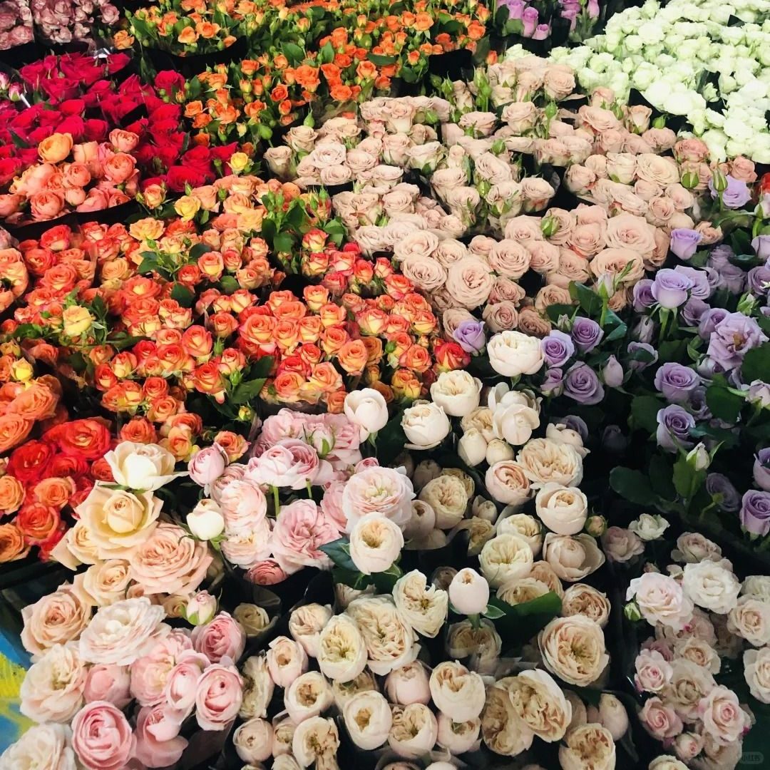 Chợ hoa Đấu Nam