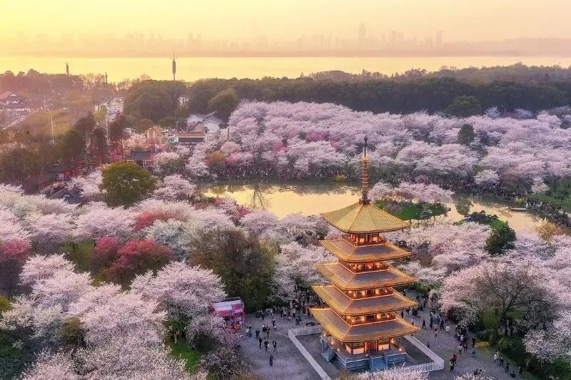 1750416319_tour Vu Han 4_37