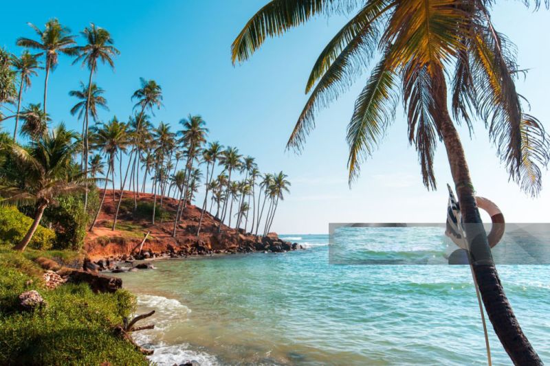 Đồi Cây Dừa Srilanka