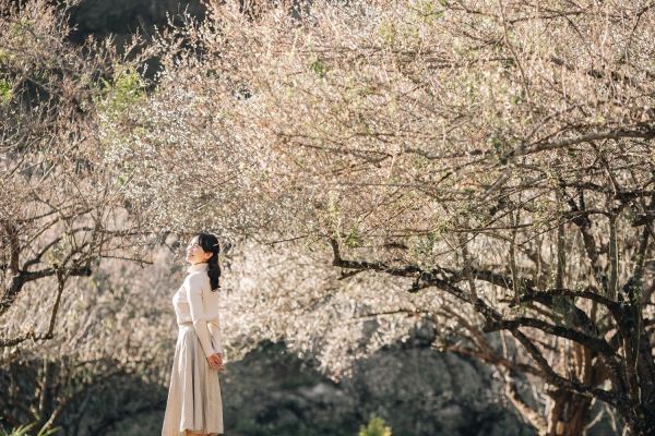 Tour Mộc Châu Mùa Hoa Trái (1)