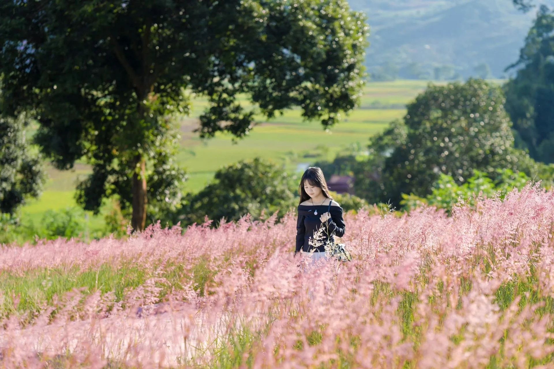 Tour Mộc Châu Mùa Hoa Trái (2)