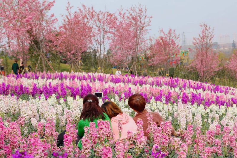 Trang Viên Mạn Hoa Cửu Trại Câu