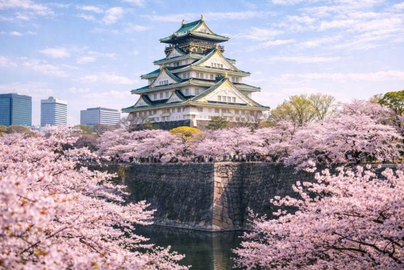 Ban Biet Gi Ve Lau Dai Osaka Mua Hoa Anh Dao 1