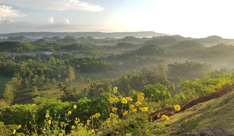 Chocolate Hills