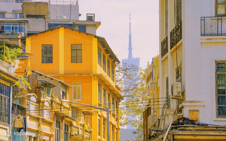 Ckn1tltvzhi7ciiggw6r