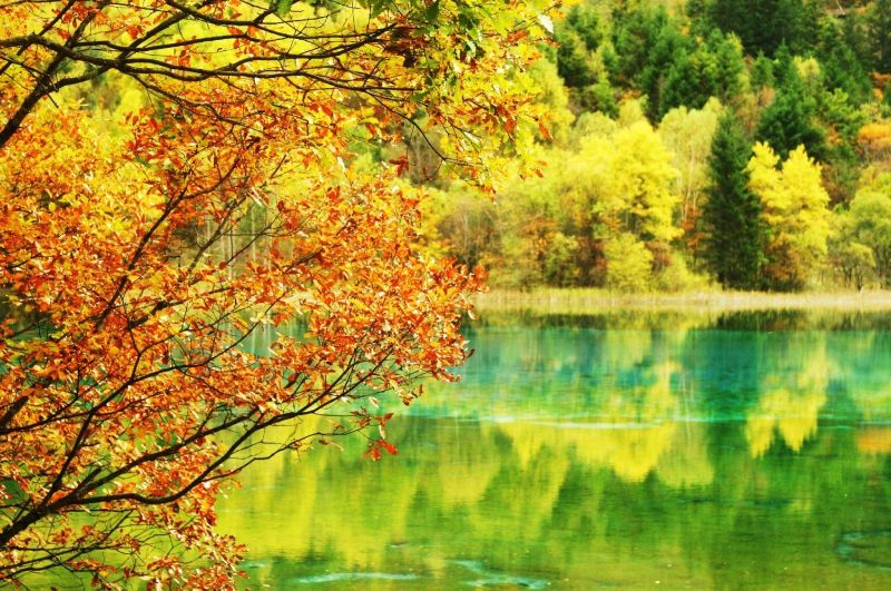 Cuu Trai Cau Mua Thu 2