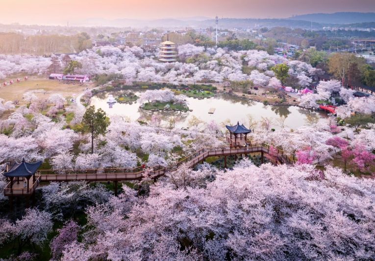 Dong Ho Dao Vien Vu Han 1