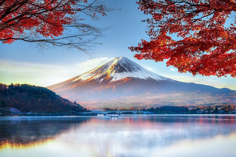 Fuji Mountain In Autumn