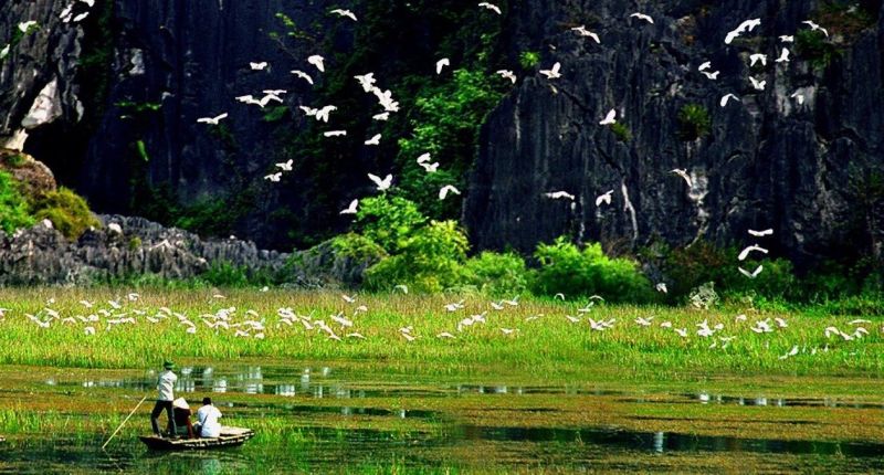 Thung Nham Ninh Binh (6)
